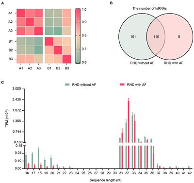 Altered Expression of Transfer-RNA-Derived Small RNAs in Human With Rheumatic Heart Disease